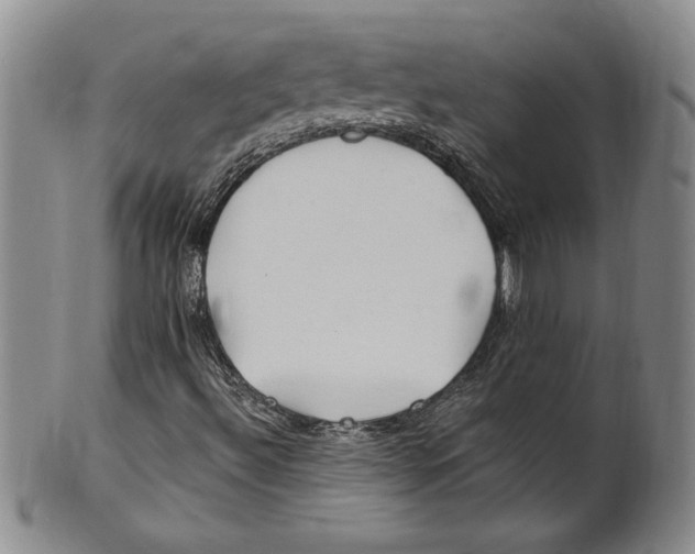 X0000100761492200807171329