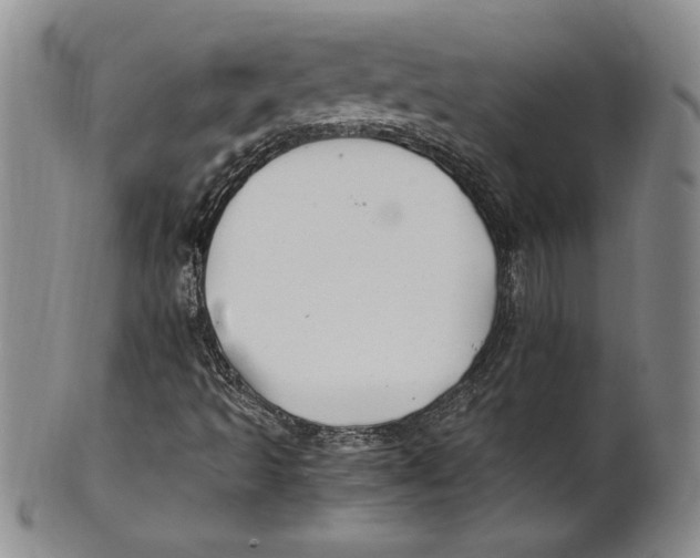 X0000100761493200807171329