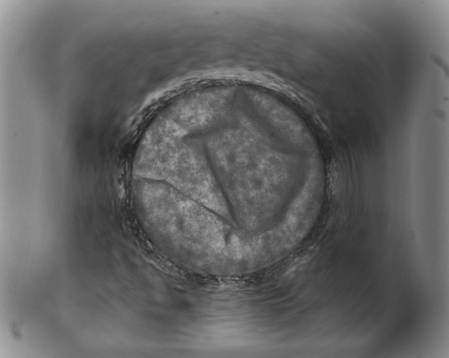 X0000100761494200807171329