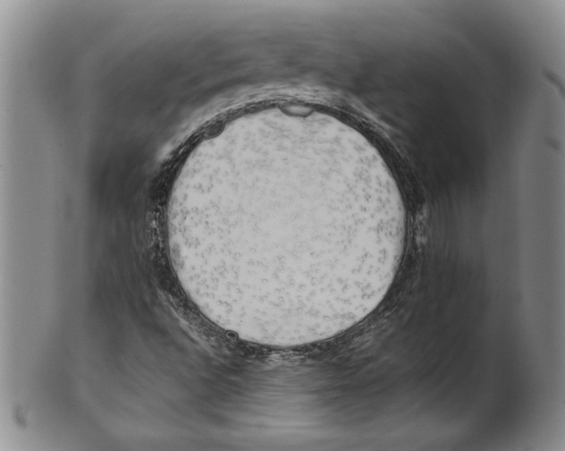 X0000100761496200807171329
