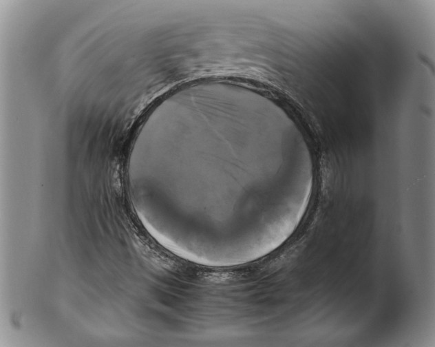 X0000100761497200807171329