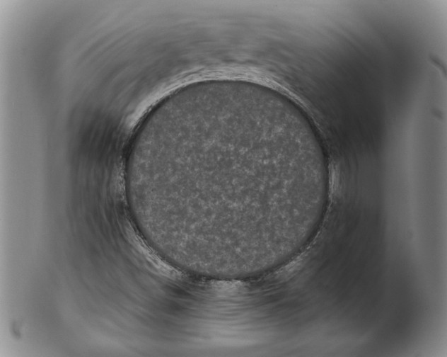 X0000100761498200807171329