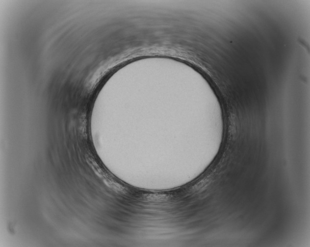 X0000100761499200807171329