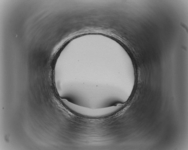 X0000100761502200807171329