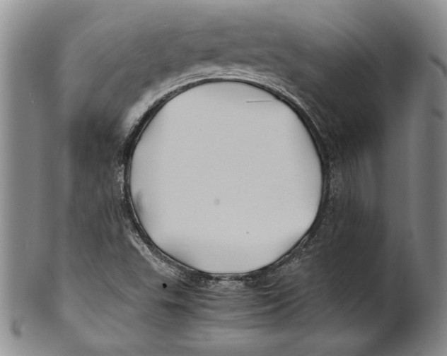 X0000100761503200807171330