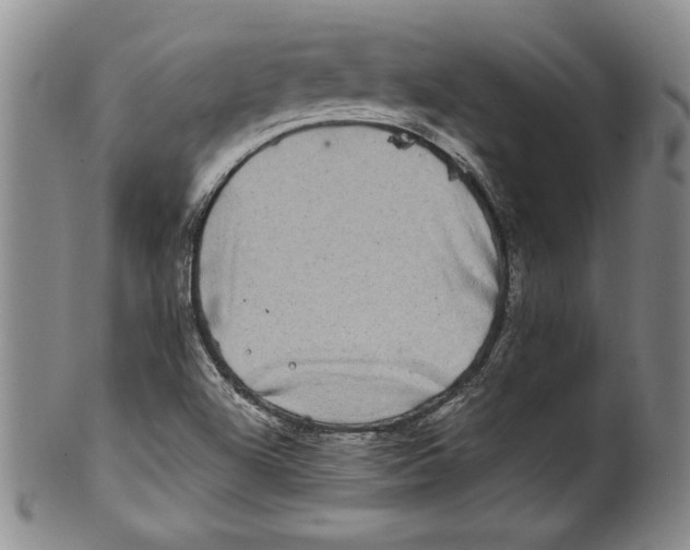 X0000100761504200807171330