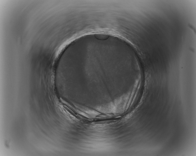 X0000100761506200807171330