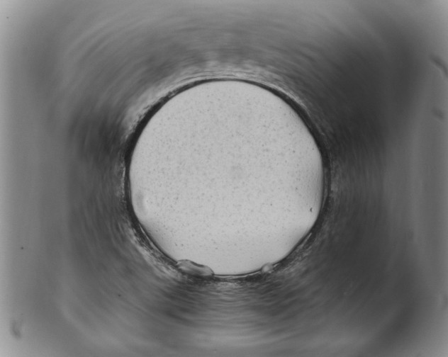 X0000100761507200807171330
