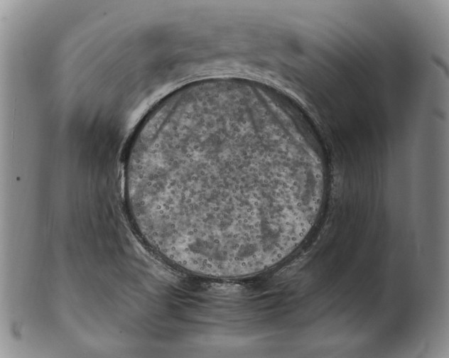 X0000100761509200807171330