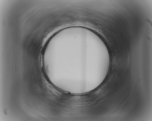 X0000100761510200807171330