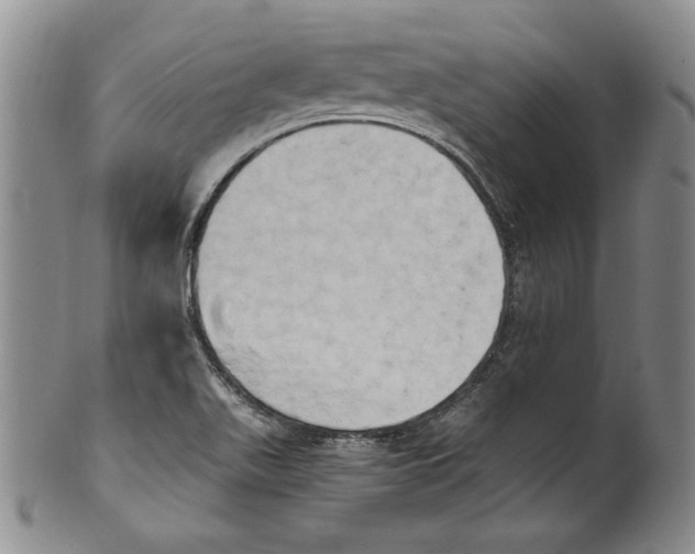 X0000100761511200807171330