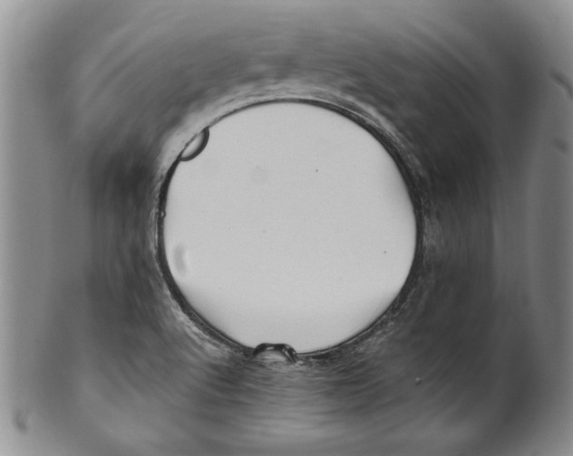 X0000100761512200807171330