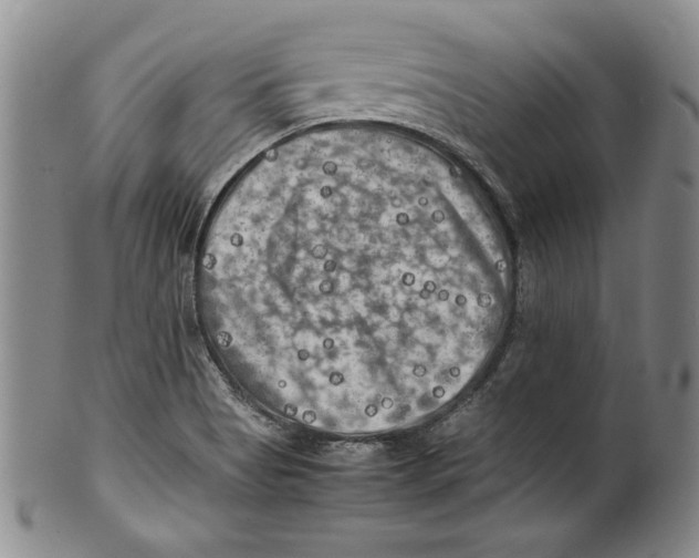 X0000100761513200807171330
