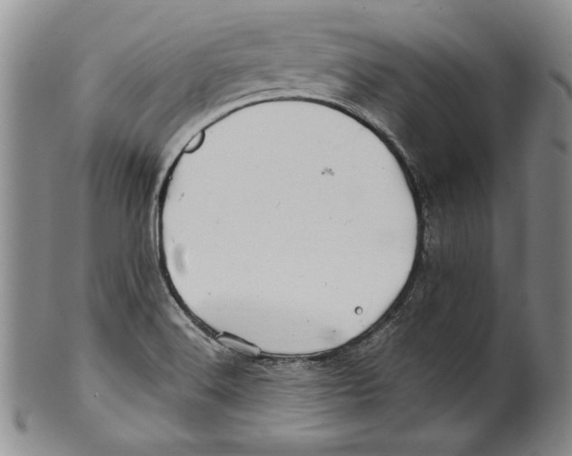 X0000100761516200807171330