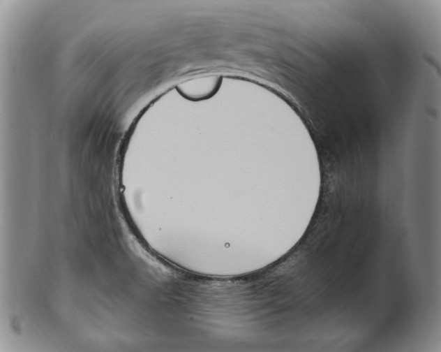 X0000100761518200807171330