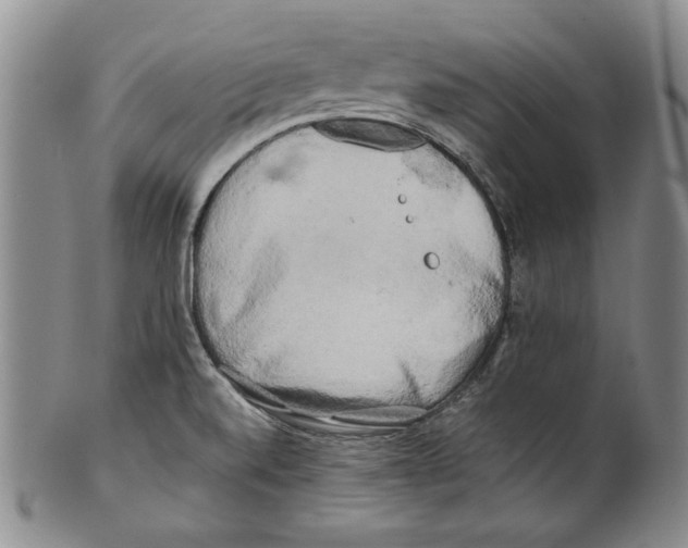 X0000100761520200807171330