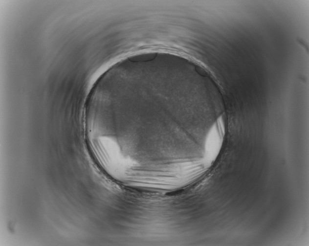 X0000100761522200807171330