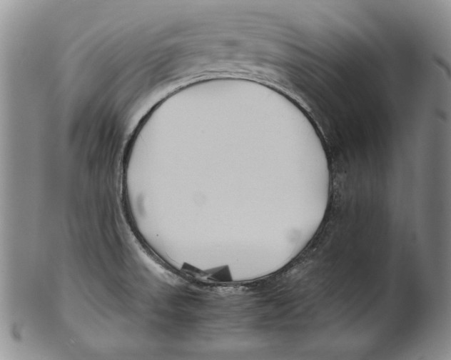 X0000100761523200807171330