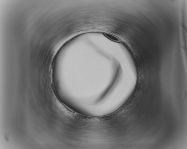 X0000100761524200807171330