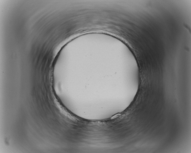 X0000100761526200807171330