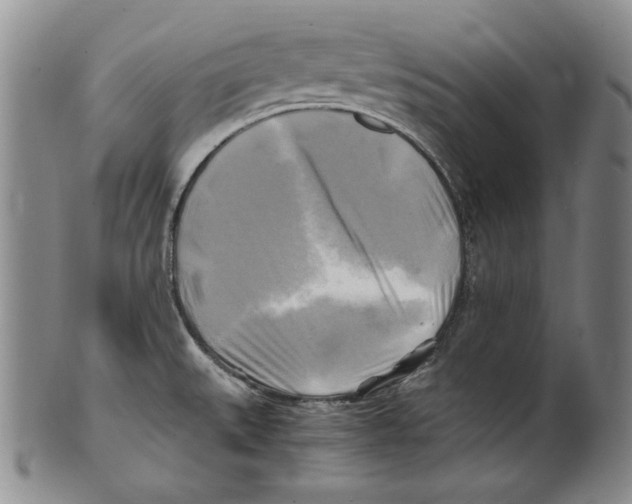 X0000100761527200807171330