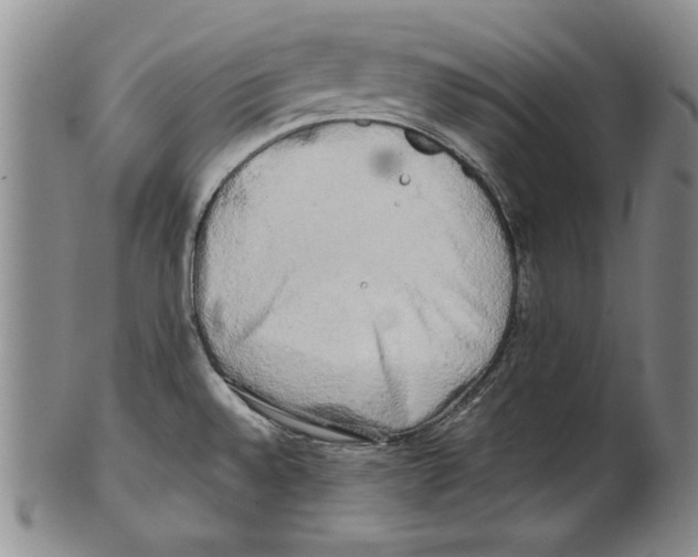 X0000100761528200807171330