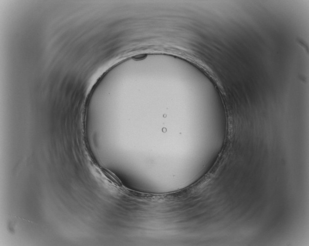 X0000100761530200807171330