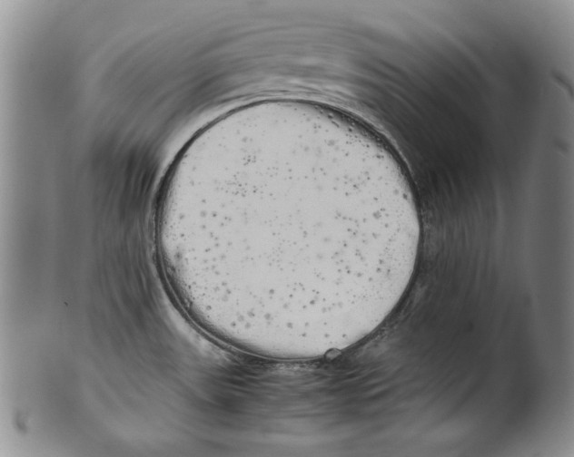 X0000100761531200807171330