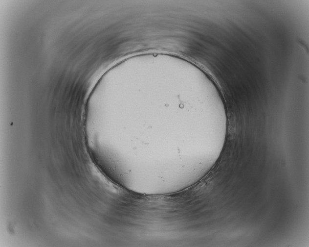 X0000100761532200807171330