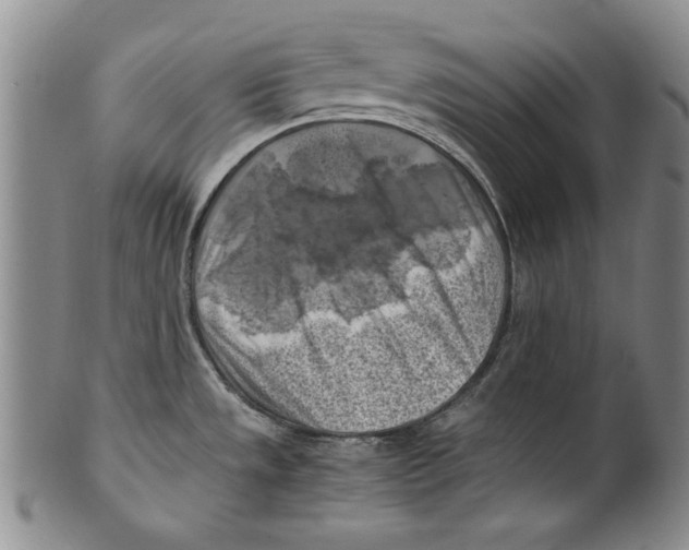 X0000100761533200807171330