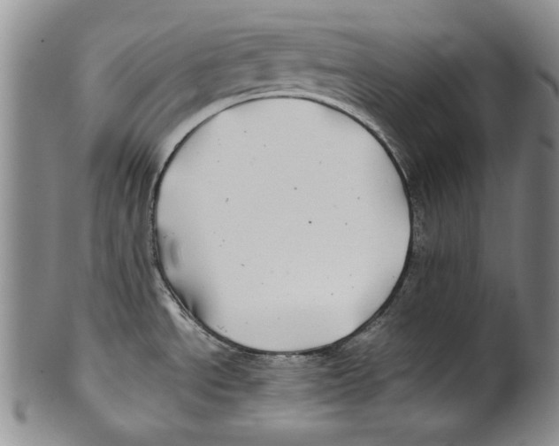 X0000100761534200807171330
