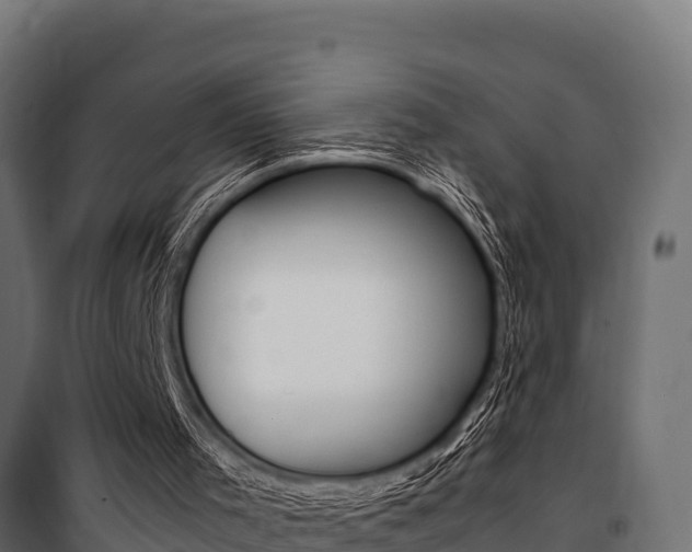 X0000100770001200806190944