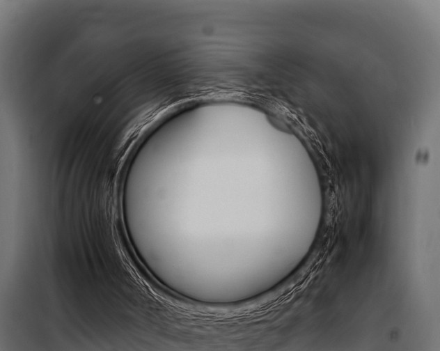 X0000100770002200806190944