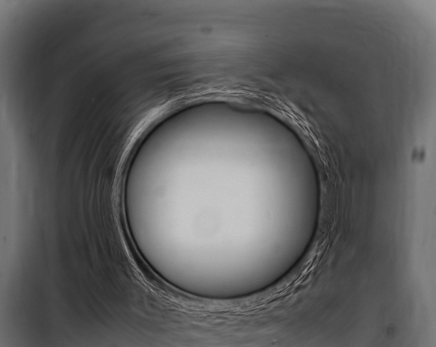 X0000100770003200806190944