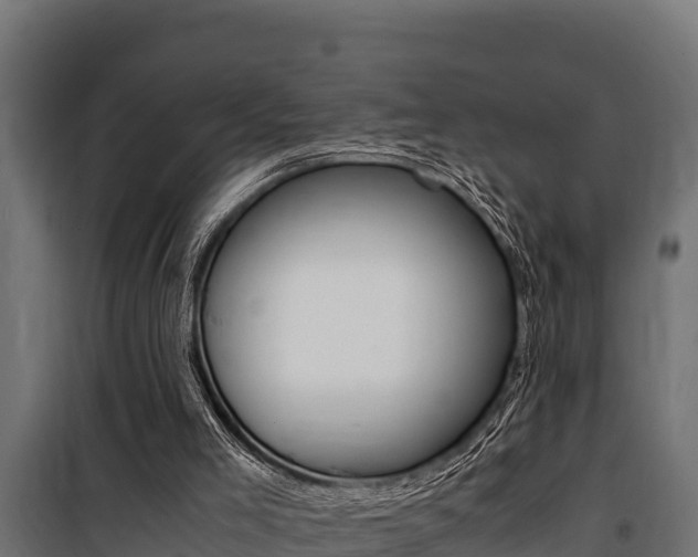 X0000100770005200806190944