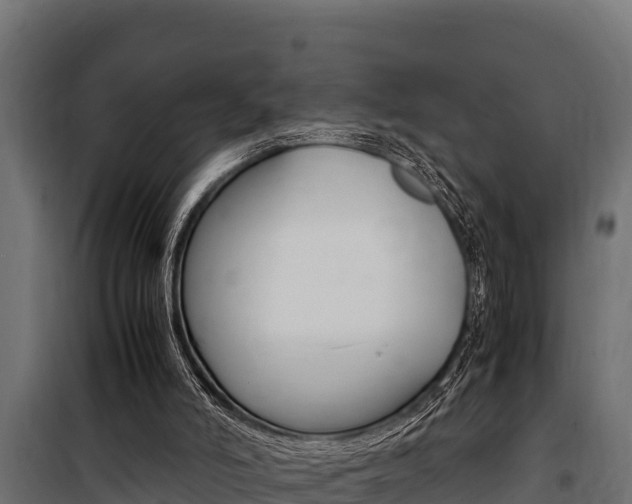 X0000100770006200806190944