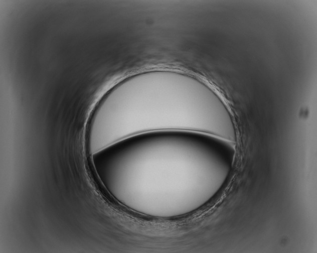 X0000100770008200806190944