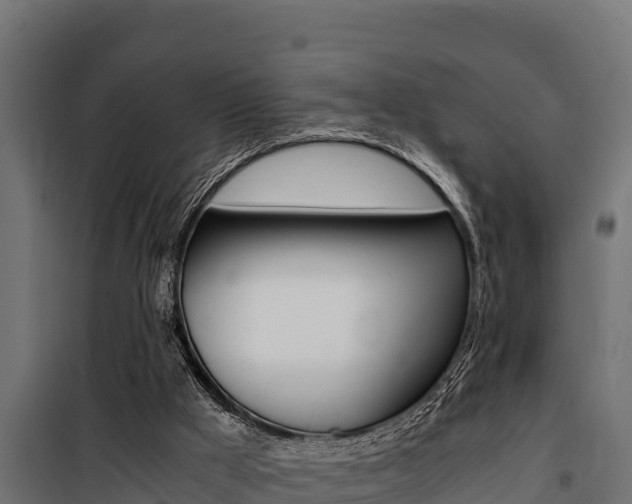 X0000100770009200806190944