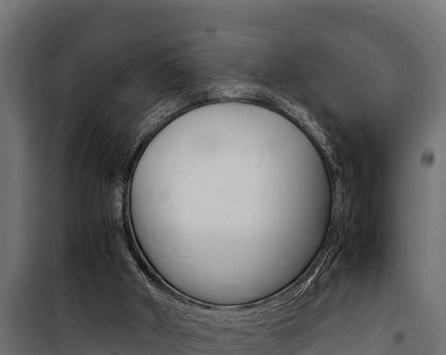 X0000100770010200806190944