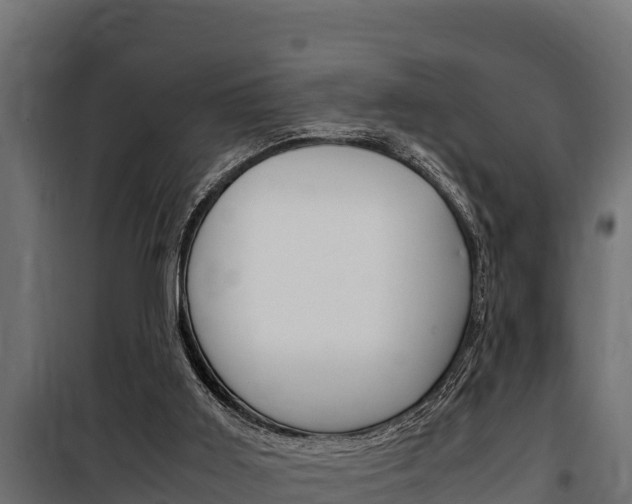 X0000100770011200806190944