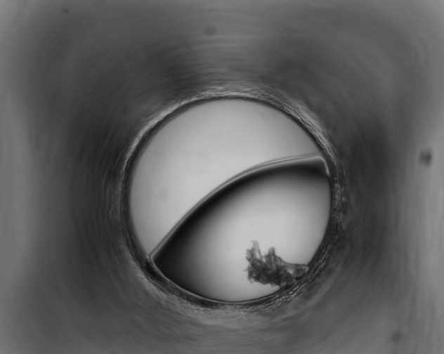 X0000100770012200806190944