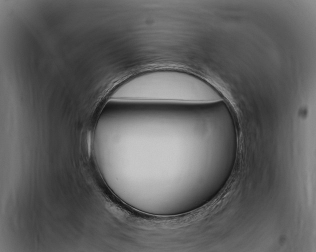 X0000100770013200806190944