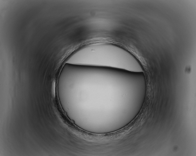 X0000100770014200806190944