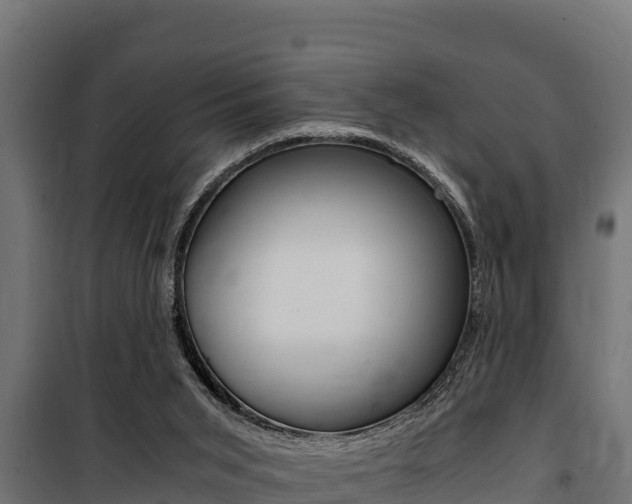 X0000100770015200806190944