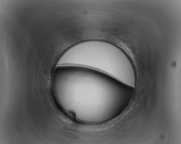 X0000100770017200806190943