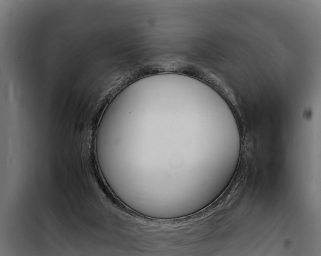 X0000100770018200806190943