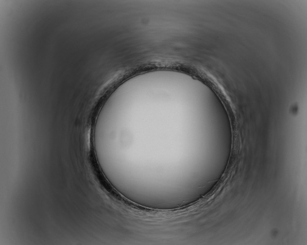 X0000100770019200806190943