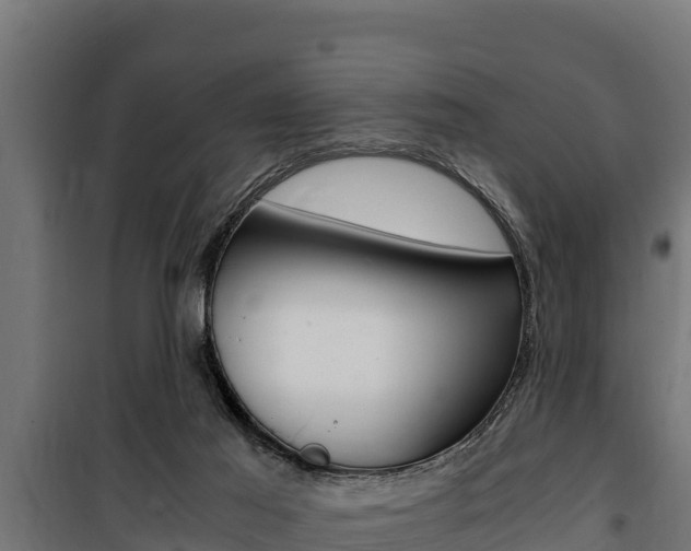 X0000100770021200806190943