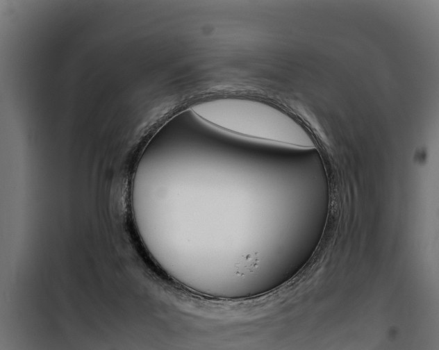 X0000100770023200806190943