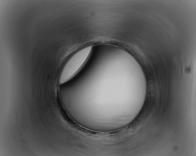 X0000100770024200806190943
